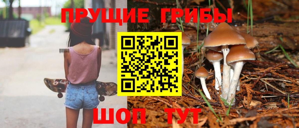 как найти закладки  Псилоцибиновые грибы Psilocybe  Вход с VPN  Волгодонск 
